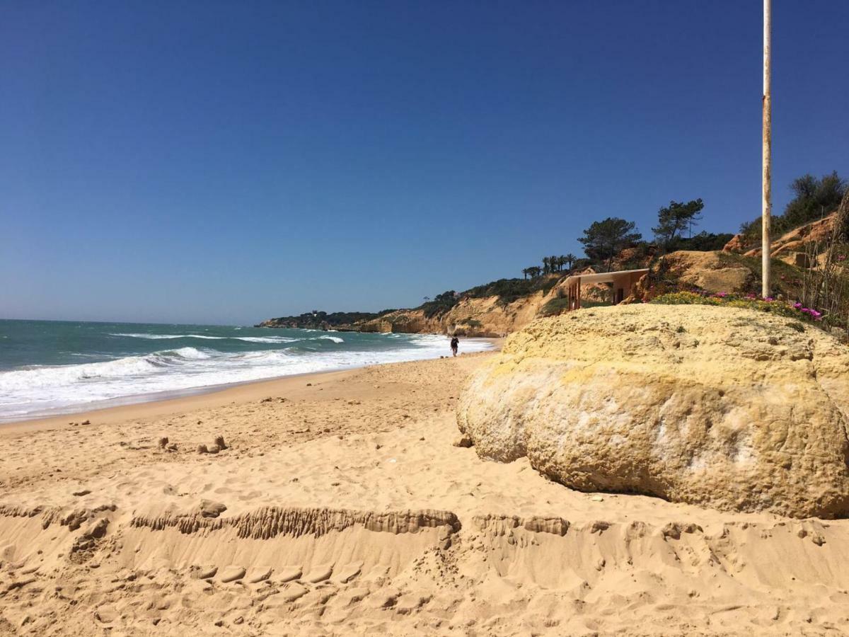 Apartament Albufeira Monte Balaia Zewnętrze zdjęcie